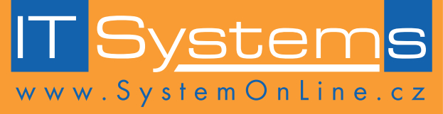 IT System